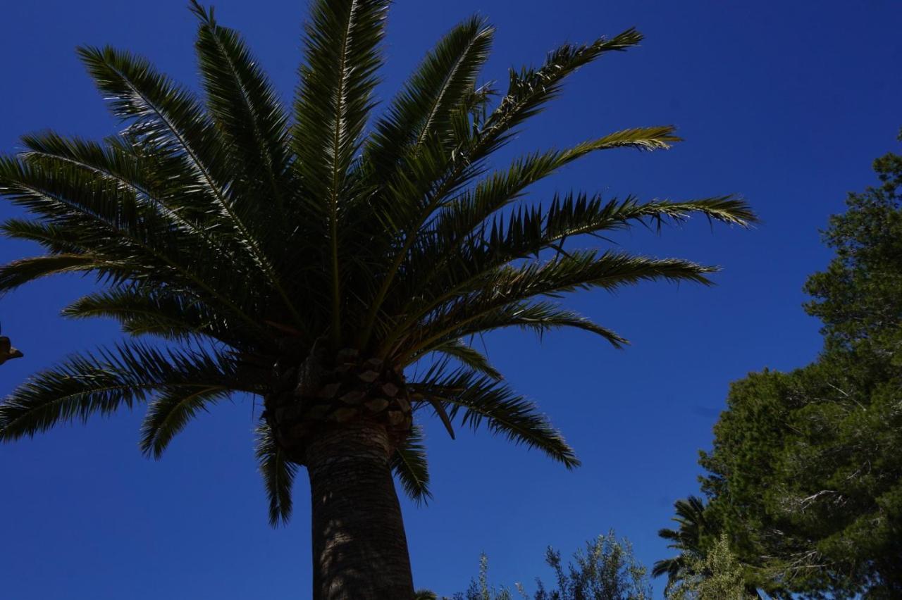 Agroturismo Sa Pletassa Felanitx Buitenkant foto